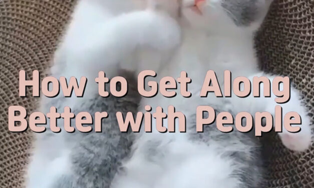 Master Woo Myung – Life Coach – How to Get Along Better with People