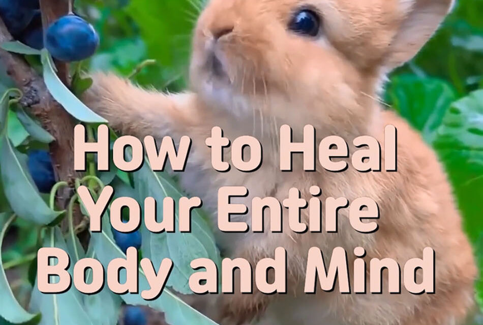 Master Woo Myung – USA Today Bestseller – How to Heal Your Entire Body and Mind