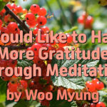 Master Woo Myung – How to Have Gratitude – I Would Like to Have More Gratitude Through Meditation