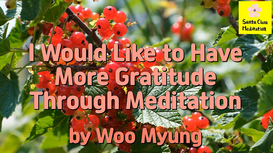 Master Woo Myung – How to Have Gratitude – I Would Like to Have More Gratitude Through Meditation