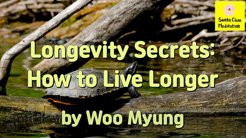 Master Woo Myung – How to Be Healthy- Longevity Secrets: How to Live Longer | Santa Clara Meditation