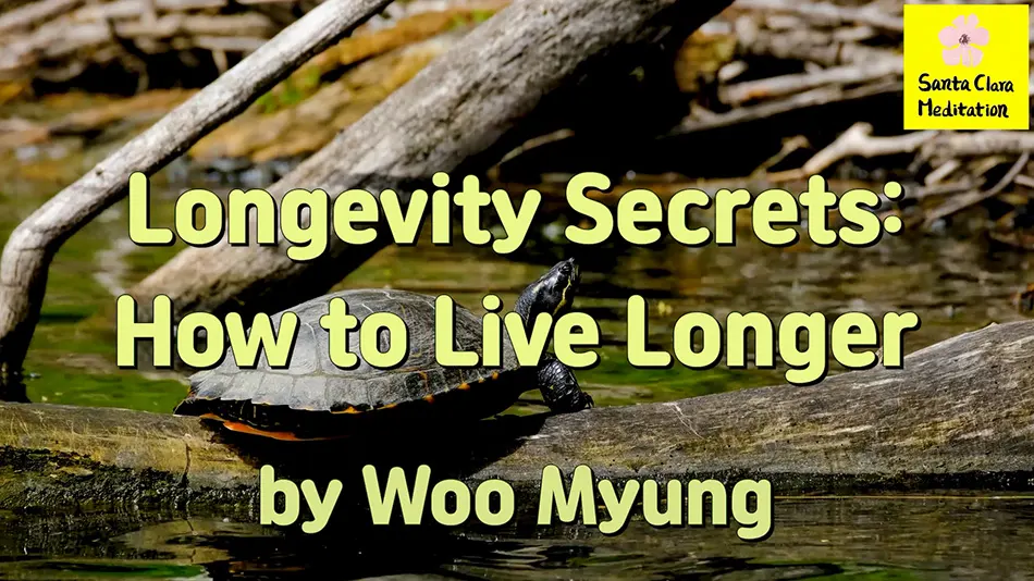 Master Woo Myung – How to Be Healthy – Longevity Secrets: How to Live Longer