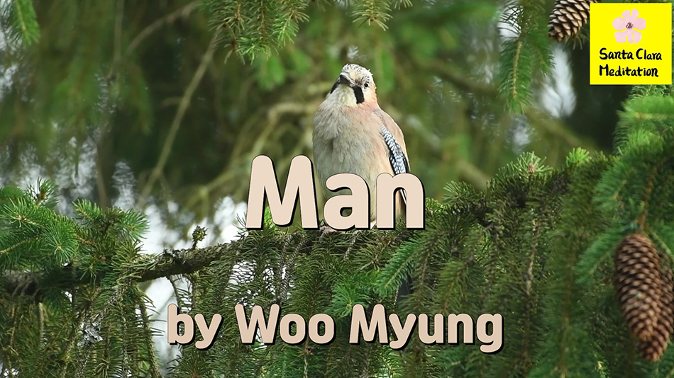 Master Woo Myung – Meditation Quote – Man | Santa Clara Meditation