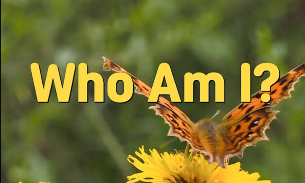 Master Woo Myung – Truth’s Answer – Who Am I?