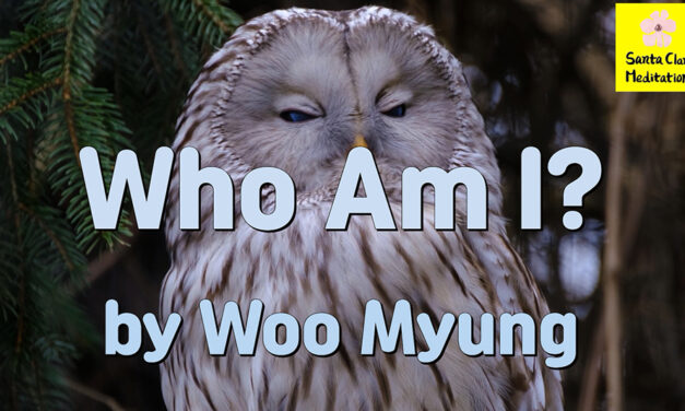 Master Woo Myung – Teaching of Wisdom – Who Am I? | Santa Clara Meditation