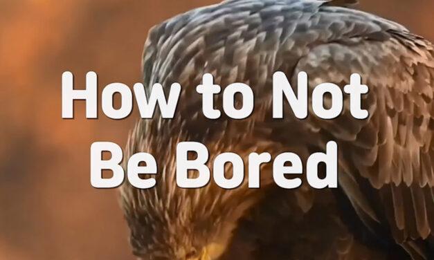 Master Woo Myung – Method to Live Well – How to Not Be Bored