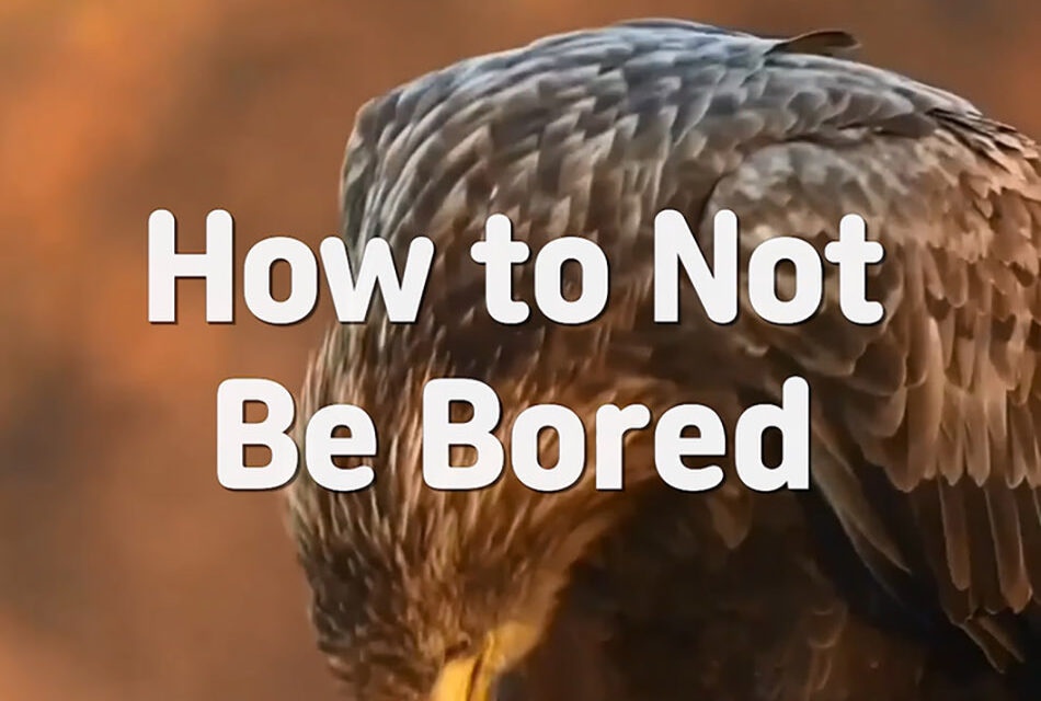 Master Woo Myung – Method to Live Well – How to Not Be Bored