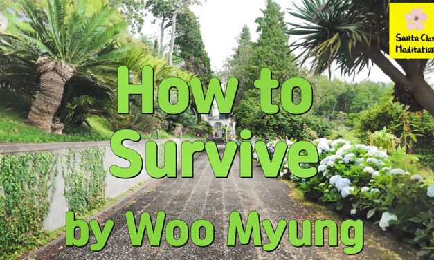 Master Woo Myung – How to Be Successful – How to Survive