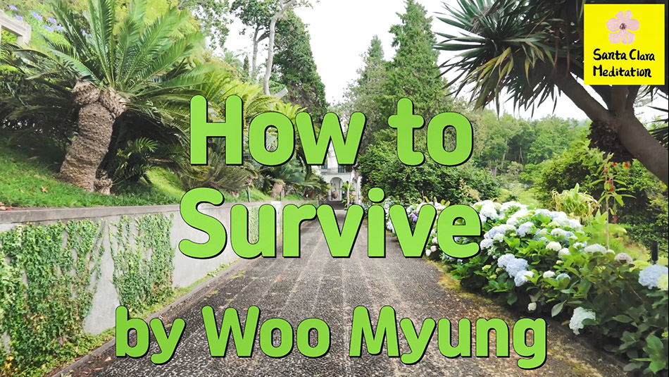 Master Woo Myung – How to Be Successful – How to Survive