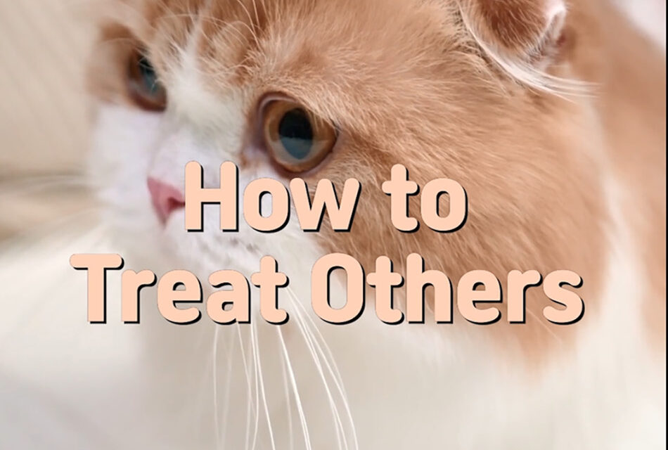 Master Woo Myung – Daily Life Advice- How to Treat Others