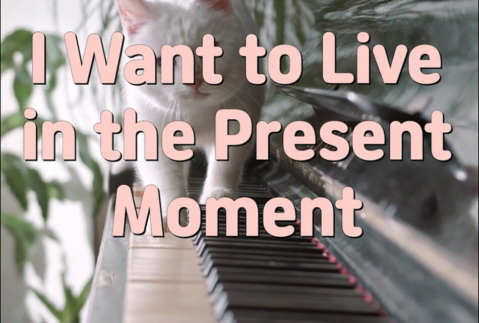 Master Woo Myung – Meditation Effect – I Want to Live in the Present Moment