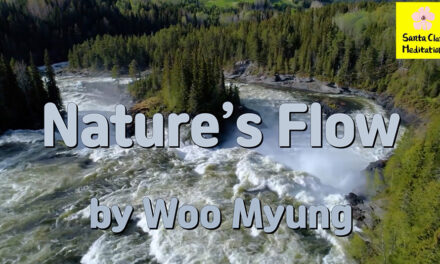 Master Woo Myung Book – The Enlightened World – Nature’s Flow | Santa Clara Meditation