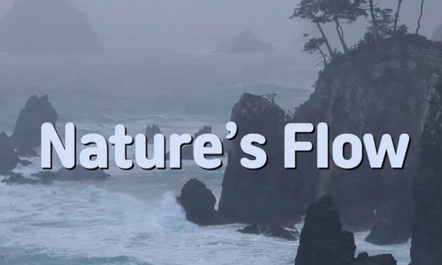 Master Woo Myung – Truth Verses – Nature’s Flow