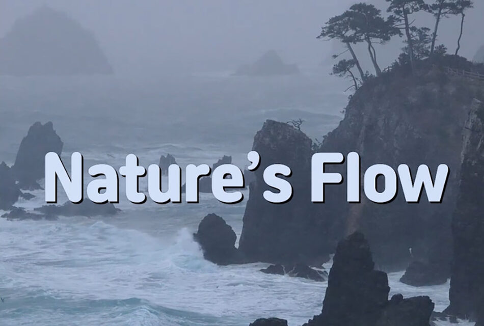 Master Woo Myung – Truth Verses – Nature’s Flow