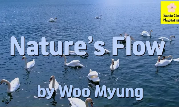 Master Woo Myung – Poetry – Nature’s Flow