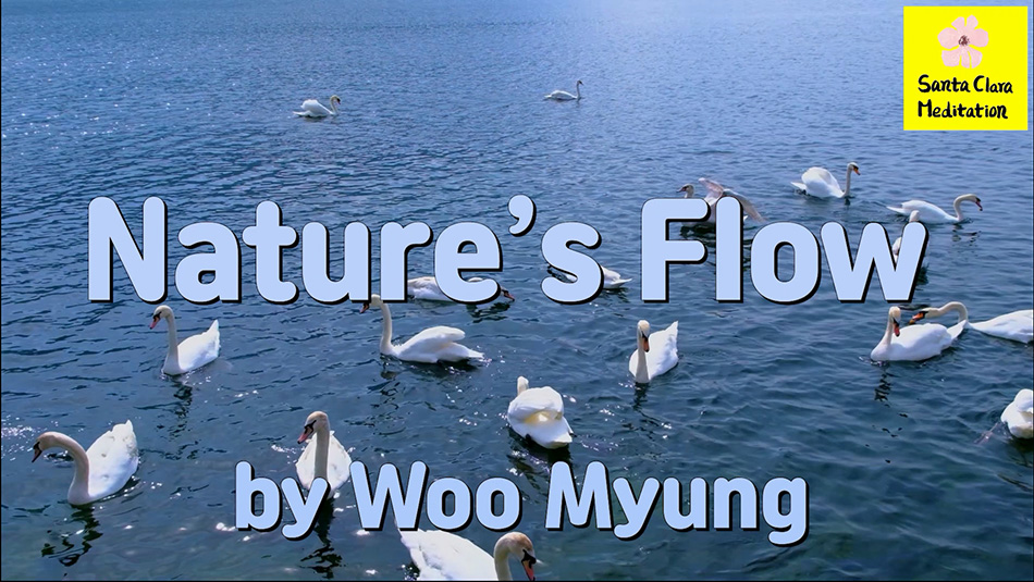 Master Woo Myung – Poetry – Nature’s Flow | Santa Clara Meditation