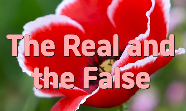 Master Woo Myung – Wisdom Quote – The Real and the False