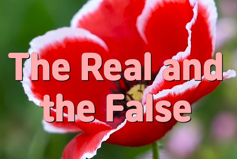 Master Woo Myung – Wisdom Quote – The Real and the False