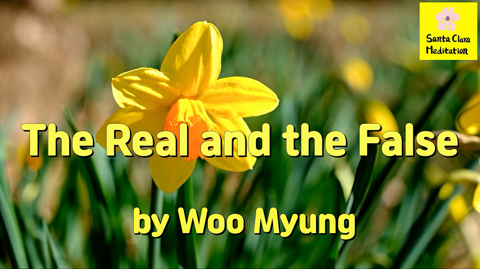 Master Woo Myung – Truth Quote – The Real and the False | Santa Clara Meditation