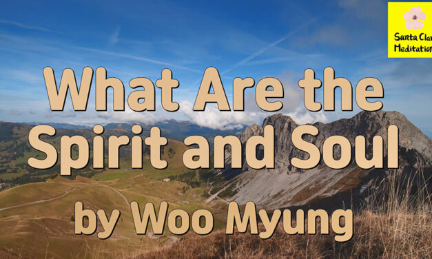 Master Woo Myung – USA Today Bestseller – What Are the Spirit and Soul