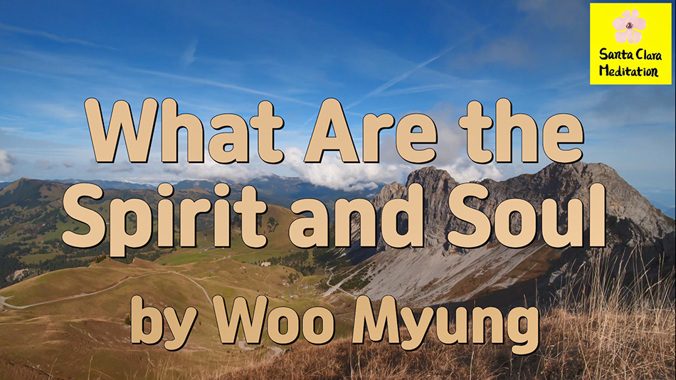 Master Woo Myung – USA Today Bestseller – What Are the Spirit and Soul