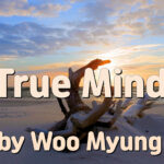 Master Woo Myung – Teachings to Awaken – True Mind | Santa Clara Meditation