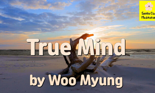 Master Woo Myung – Teachings to Awaken – True Mind | Santa Clara Meditation