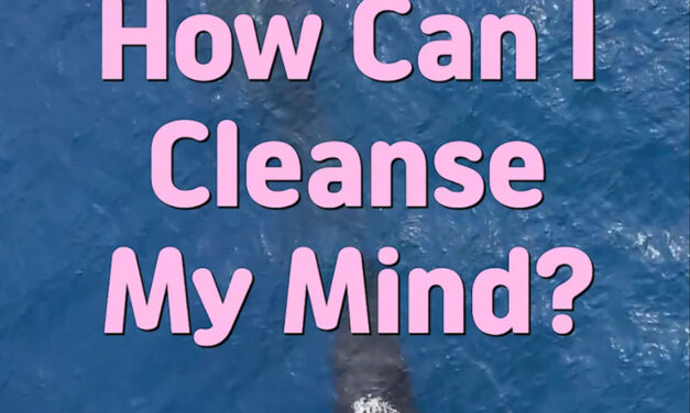 Master Woo Myung – How to Be Wise – How Can I Cleanse My Mind?