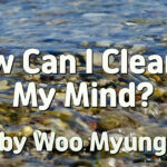 Master Woo Myung – Method to Know Truth – How Can I Cleanse My Mind? | Santa Clara Meditation