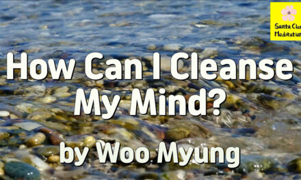 Master Woo Myung – Method to Know Truth – How Can I Cleanse My Mind? | Santa Clara Meditation