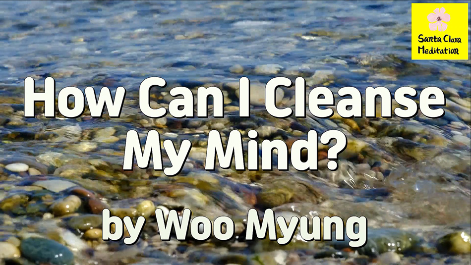 Master Woo Myung – Method to Know Truth – How Can I Cleanse My Mind?