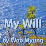 Master Woo Myung – Quote to Awaken – My Will | Santa Clara Meditation