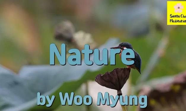 Master Woo Myung Book – Mind – Nature