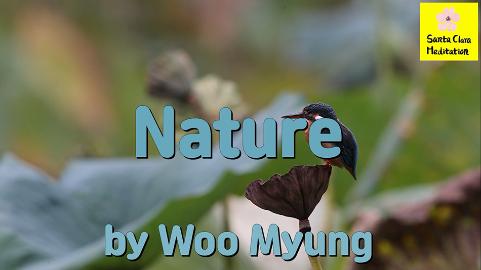 Master Woo Myung Book – Mind – Nature | Santa Clara Meditation