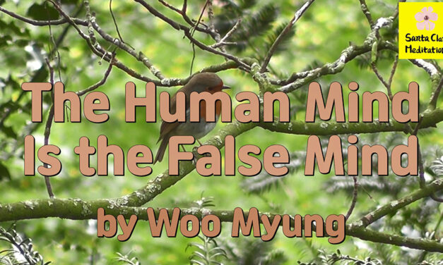 Master Woo Myung – Meditation Teachings – The Human Mind Is the False Mind