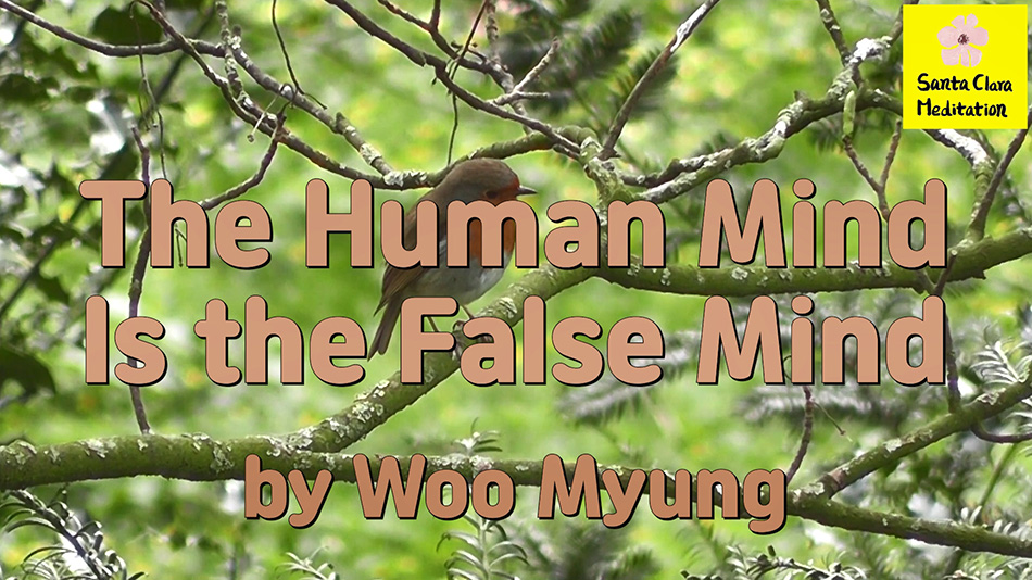 Master Woo Myung – Meditation Teachings – The Human Mind Is the False Mind