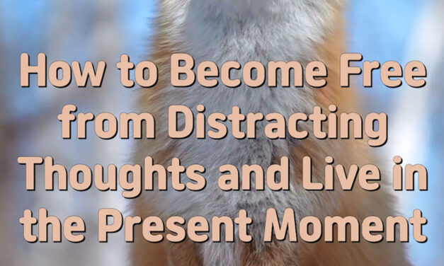 Master Woo Myung – How to Be Successful – How to Become Free from Distracting Thoughts and Live in the Present Moment