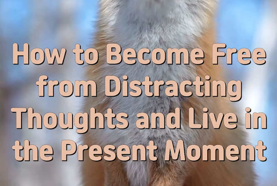 Master Woo Myung – How to Be Successful – How to Become Free from Distracting Thoughts and Live in the Present Moment