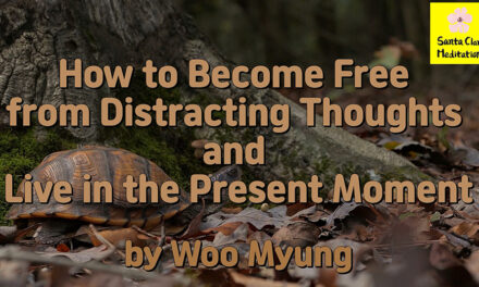 Master Woo Myung – Q&A – How to Become Free from Distracting Thoughts and Live in the Present Moment