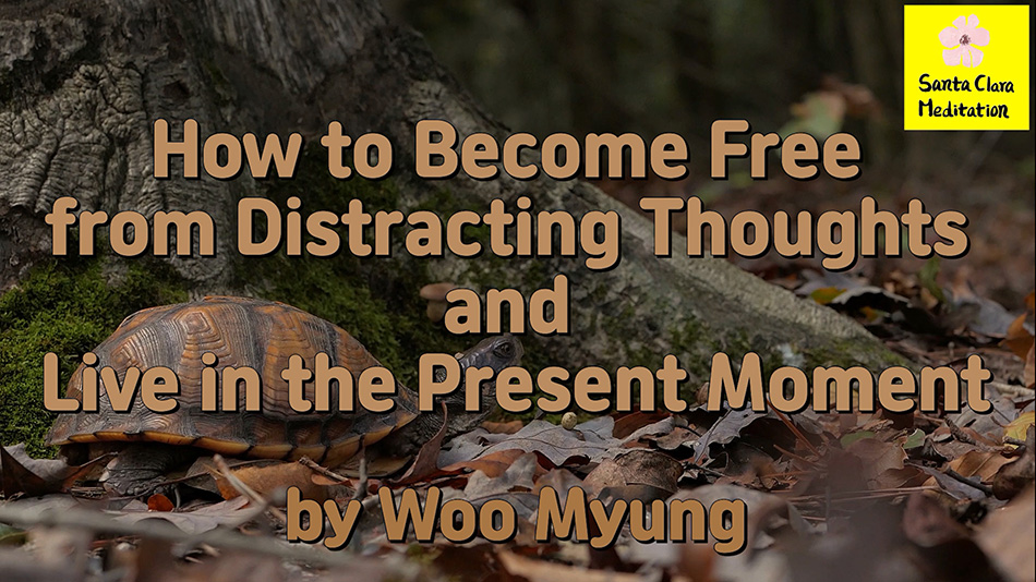 Master Woo Myung – Q&A – How to Become Free from Distracting Thoughts and Live in the Present Moment