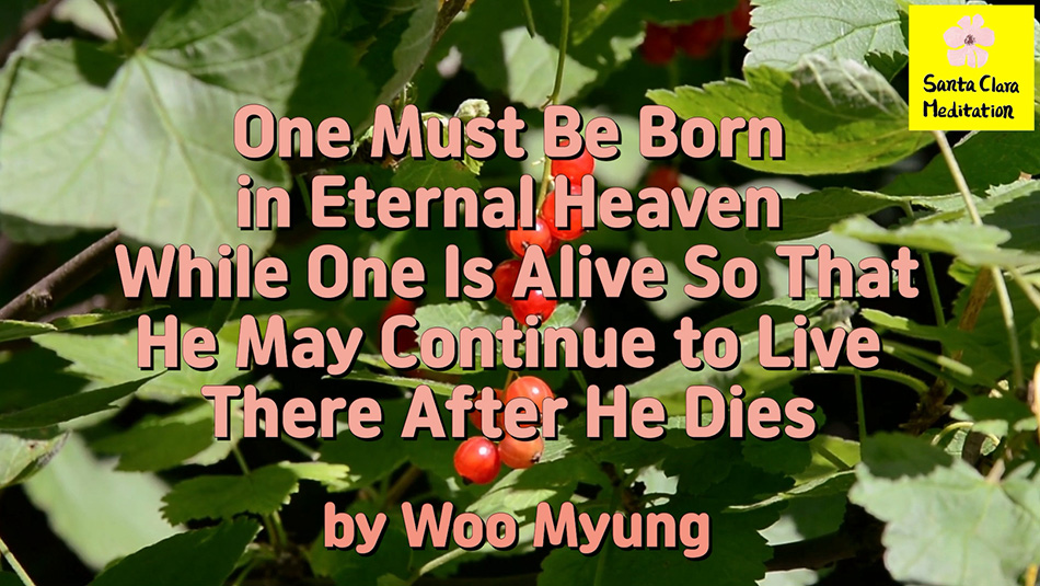 Master Woo Myung – Teaching – One Must Be Born in Eternal Heaven While One Is Alive So That He May Continue to Live There After He Dies