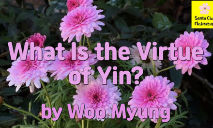 Master Woo Myung – Question & Answer – What Is the Virtue of Yin? | Santa Clara Meditation