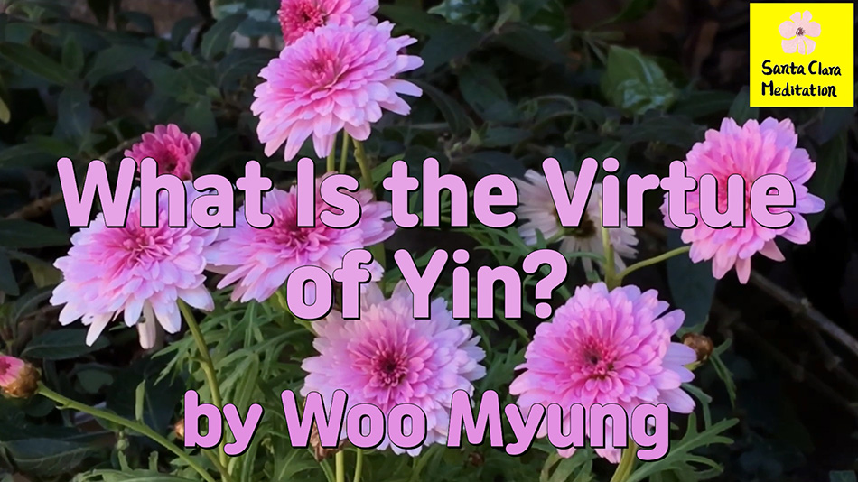 Master Woo Myung – Question & Answer – What Is the Virtue of Yin?