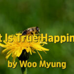 Master Woo Myung – How to Be Happy – What Is True Happiness? | Santa Clara Meditation