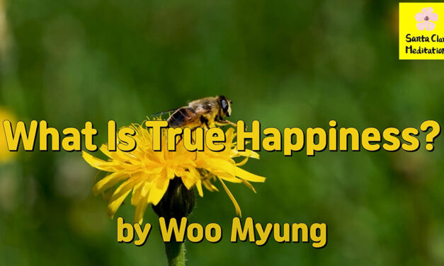 Master Woo Myung – How to Be Happy – What Is True Happiness? | Santa Clara Meditation