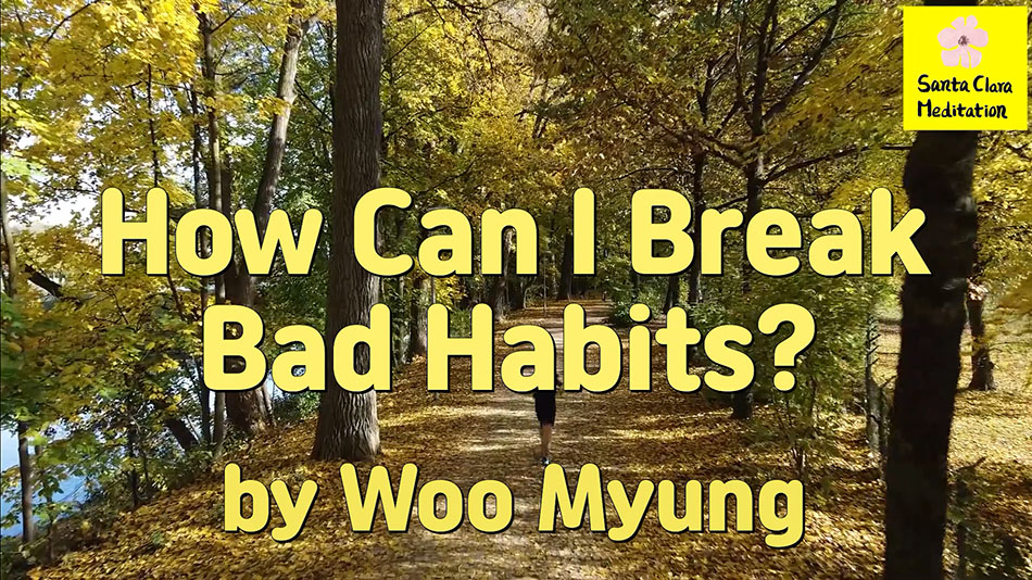 Master Woo Myung – Advice for Personal Development- How Can I Break Bad Habits?