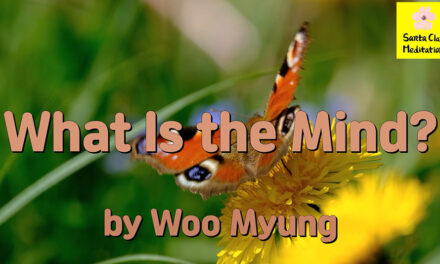Master Woo Myung – Wisdom’s Answer – What Is the Mind? | Santa Clara Meditation