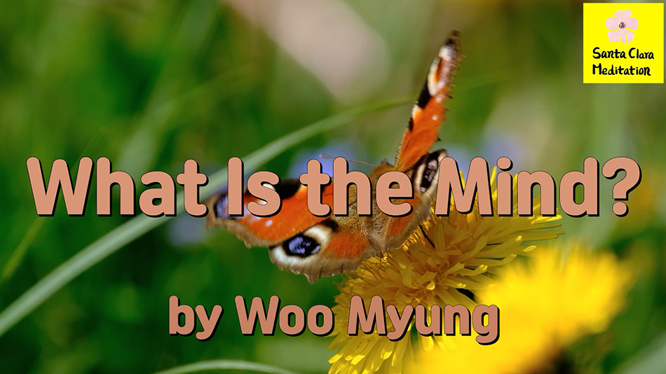 Master Woo Myung – Wisdom’s Answer – What Is the Mind? | Santa Clara Meditation