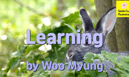 Master Woo Myung – Teaching of Wisdom – Learning | Santa Clara Meditation