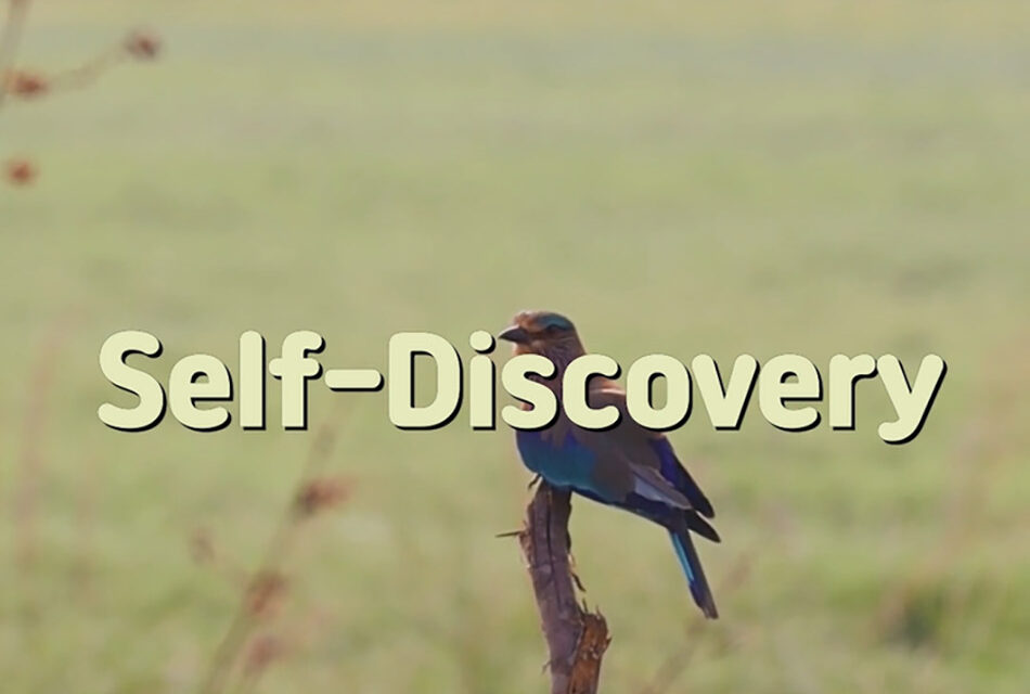 Master Woo Myung – Poem – Self Discovery